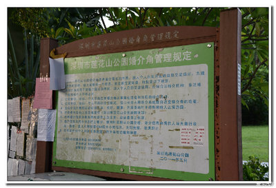 單身的人兒啊，請你看過來——蓮花山婚介角一瞥